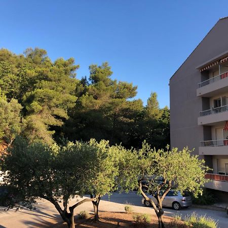 Grand Studio A Hyeres Entre Mer Et Ville Exterior photo